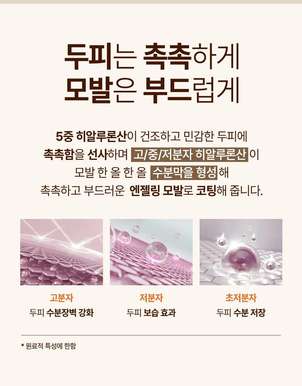 [손상모케어] 헤드스파7 프로틴 플레니쉬 트리트먼트 샴푸 740g (탈모증상완화) 상세페이지 12